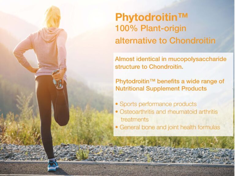 Chondroitin VS the vegan alternative Phytodroitin? – ProTec Nutra