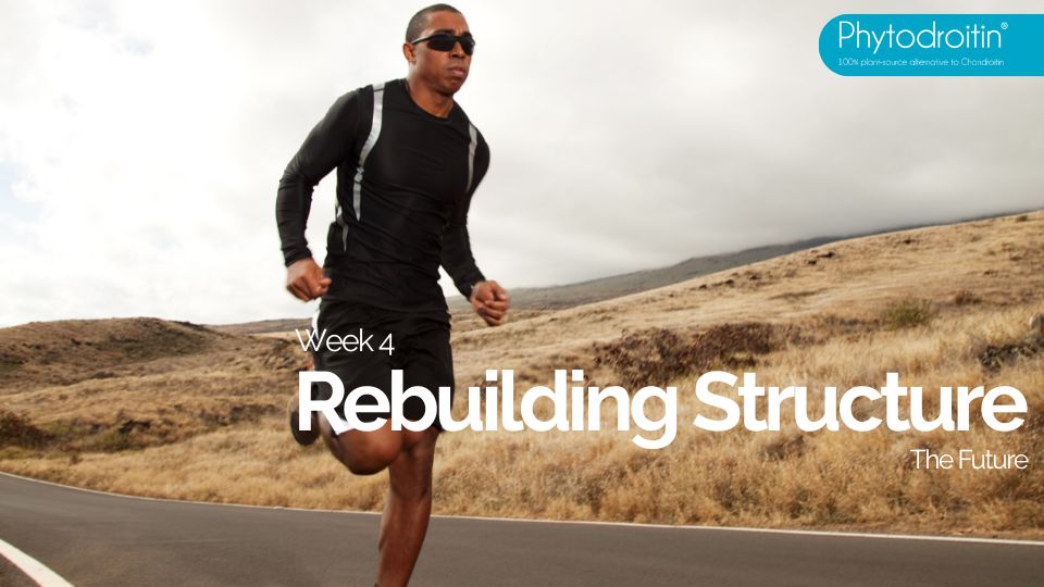 Week 4- Rebuilding Structure- The Future